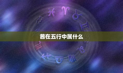 恩五行|恩字五行属什么 恩在五行中属什么